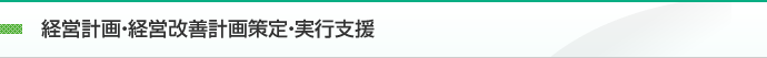 経営計画・経営改善計画策定・実行支援